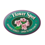 FlowerSpot